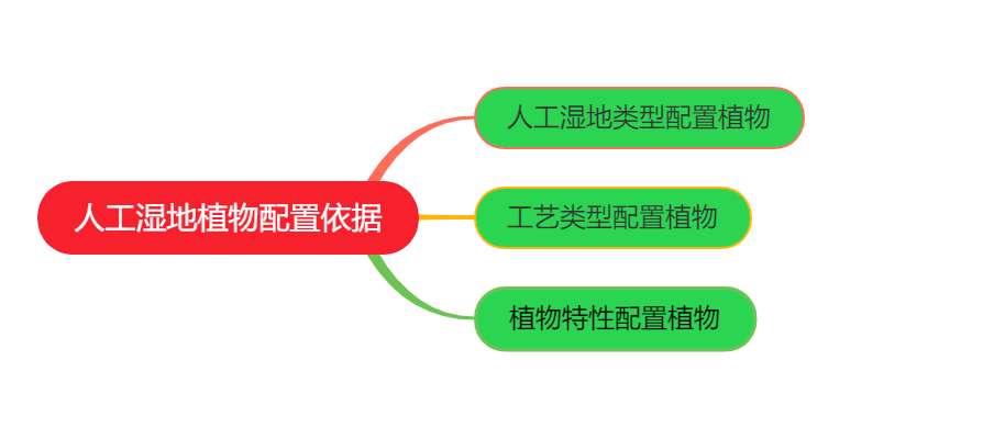 污水處理人工濕地植物配置